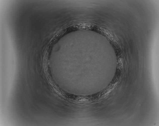 X0000116880913200912221422