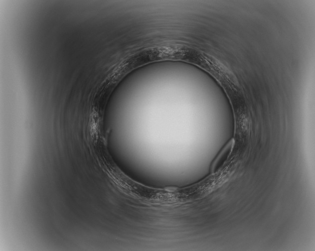 X0000116880914200912221422
