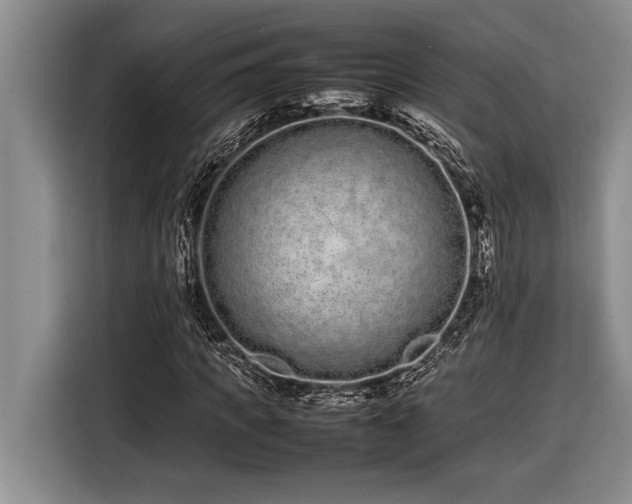 X0000116880917200912221422