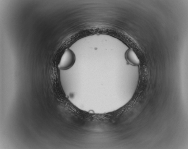 X0000116880918200912221422