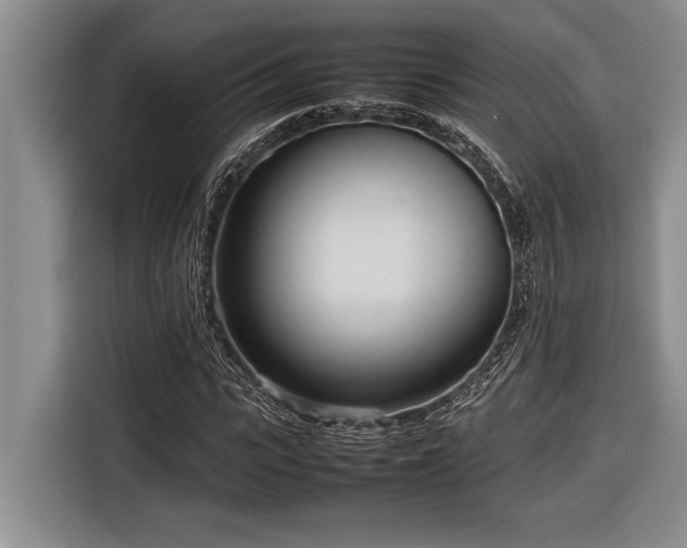 X0000116880919200912221422