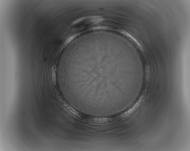 X0000116880921200912221422