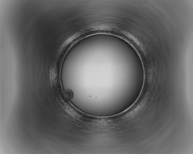 X0000116880922200912221422