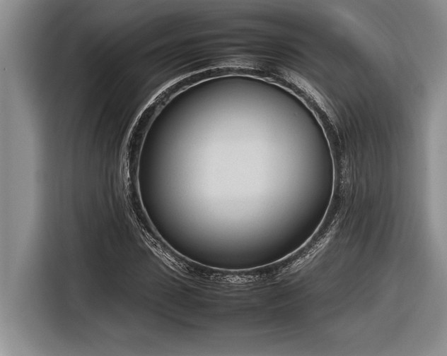 X0000116880923200912221422