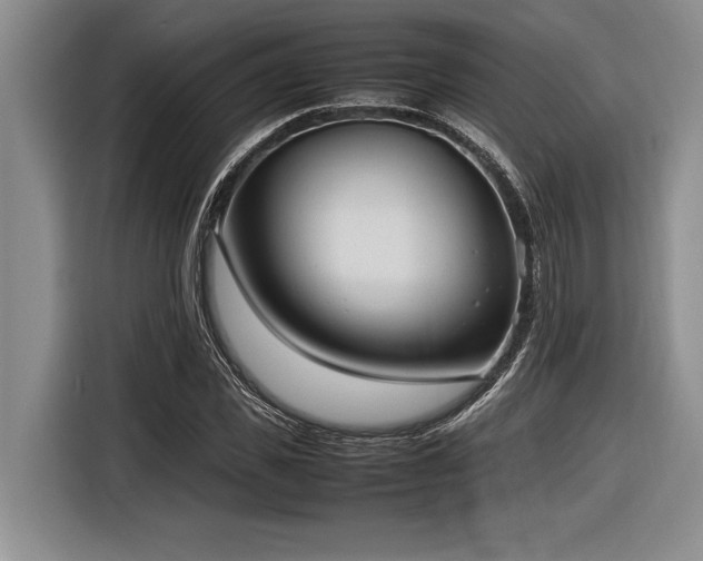 X0000116880925200912221422