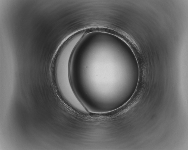 X0000116880926200912221422