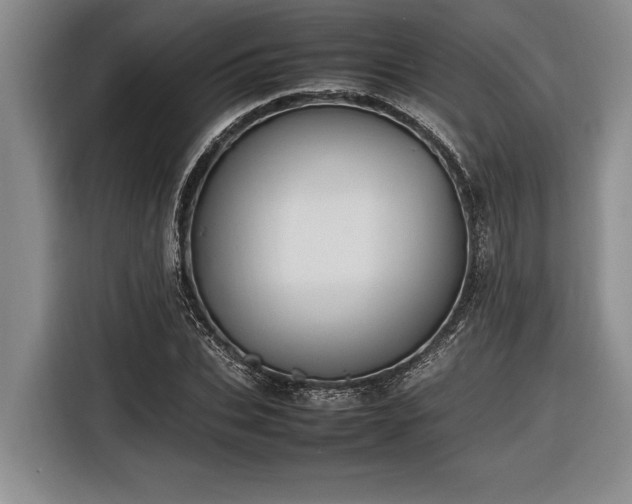 X0000116880927200912221422