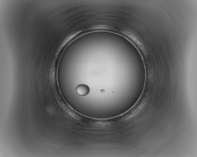 X0000116880933200912221422