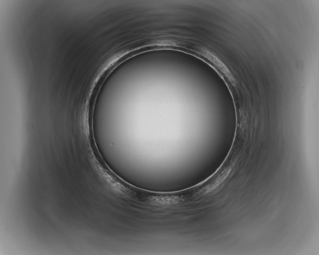 X0000116880939200912221423