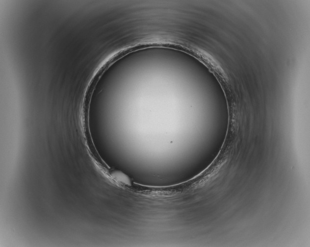 X0000116880942200912221423