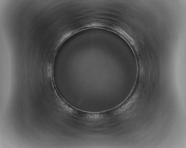 X0000116880945200912221423