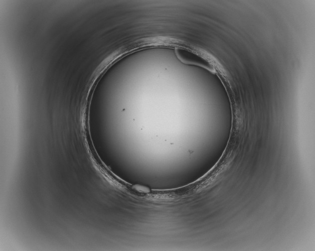 X0000116880946200912221423