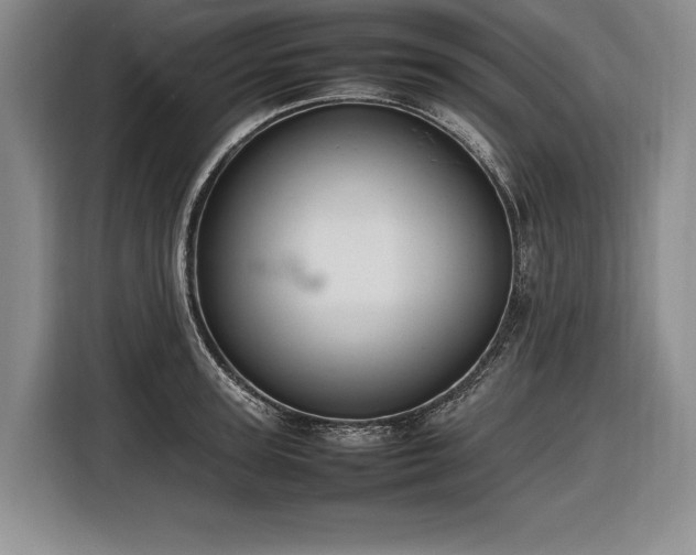X0000116880947200912221423