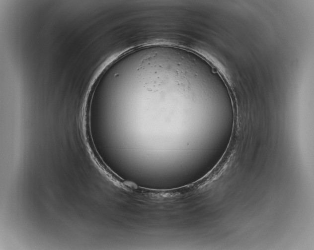 X0000116880949200912221423