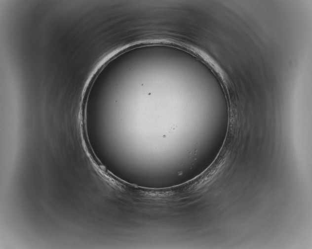 X0000116880951200912221423