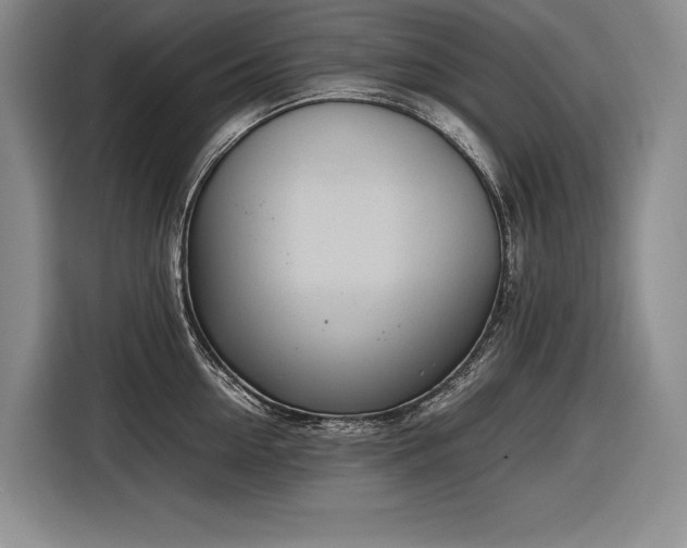X0000116880954200912221423