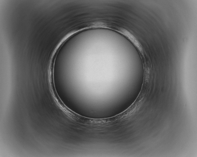 X0000116880955200912221423