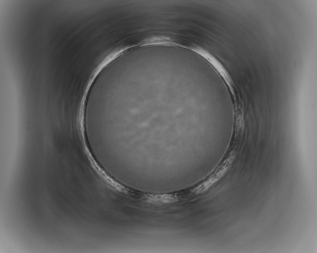 X0000116880957200912221423