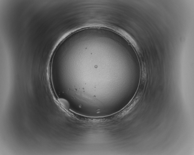 X0000116880958200912221423