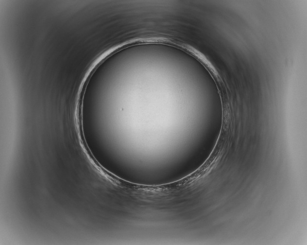 X0000116880959200912221423