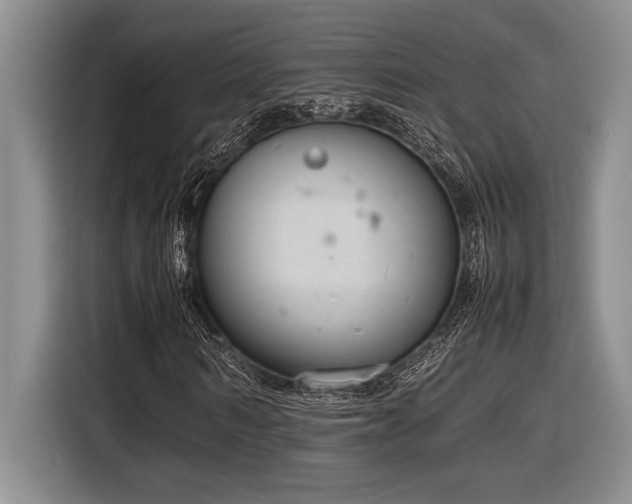 X0000116880962200912221422