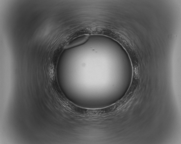 X0000116880963200912221422