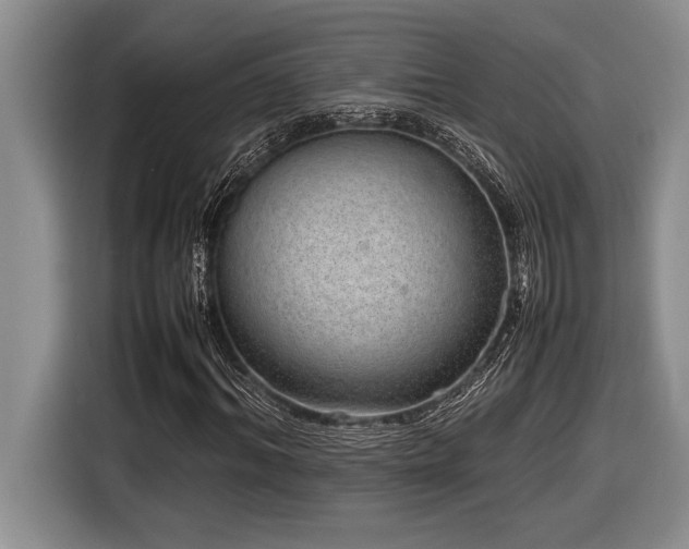 X0000116880964200912221422