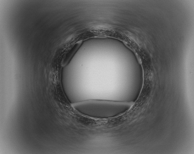 X0000116880965200912221422