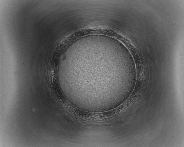 X0000116880966200912221422
