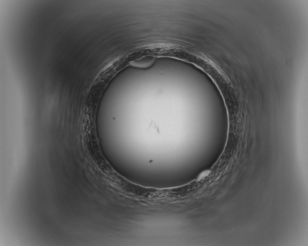 X0000116880967200912221422