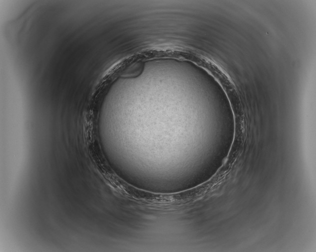 X0000116880968200912221422