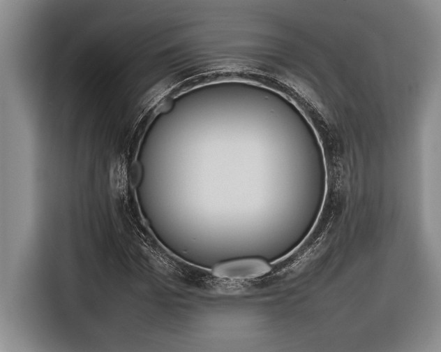 X0000116880969200912221422