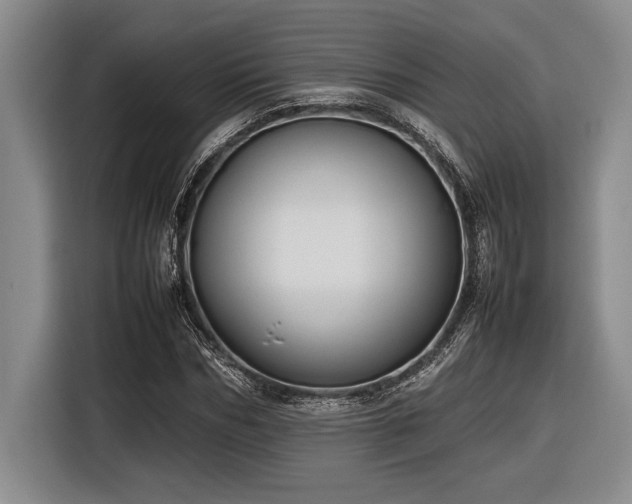 X0000116880970200912221422