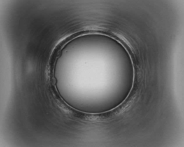 X0000116880971200912221422