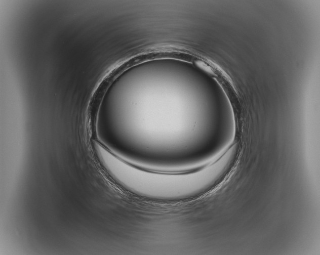 X0000116880973200912221422
