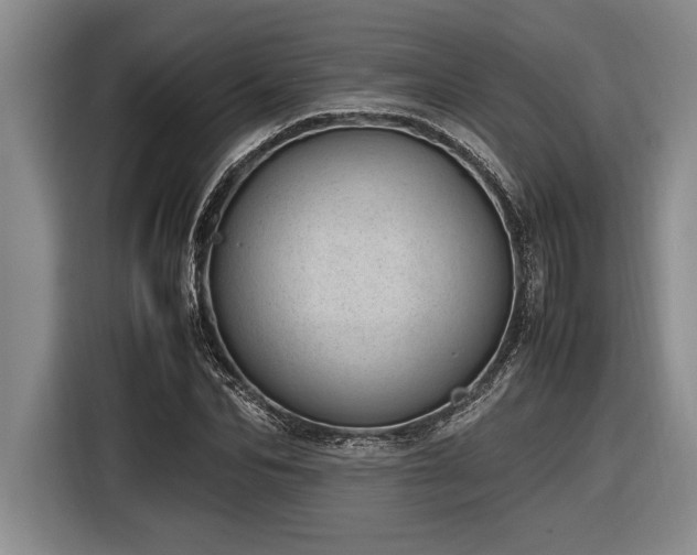 X0000116880974200912221422