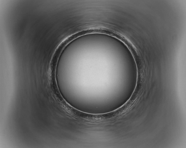 X0000116880975200912221422