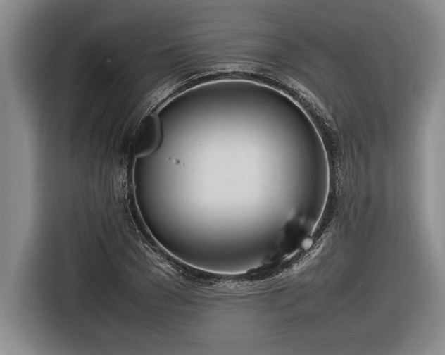 X0000116880977200912221422