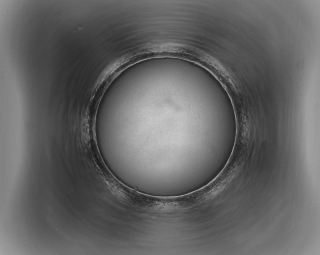 X0000116880978200912221422