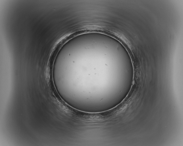 X0000116880979200912221422