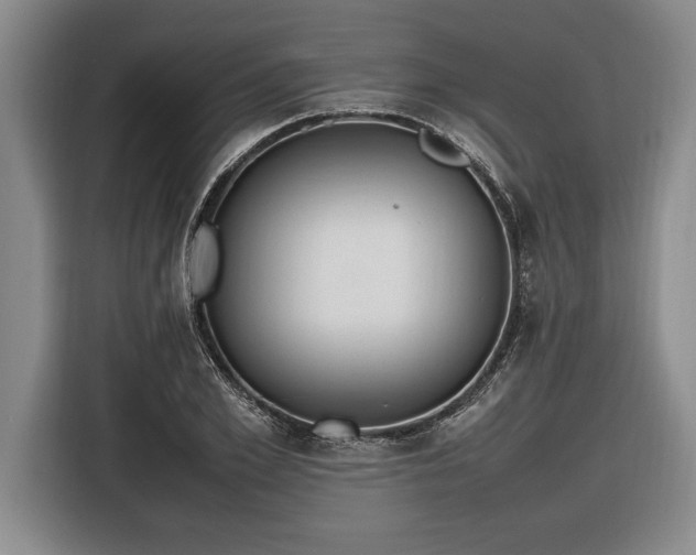 X0000116880981200912221422
