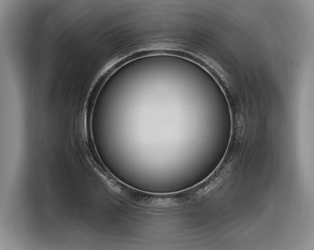 X0000116880982200912221422