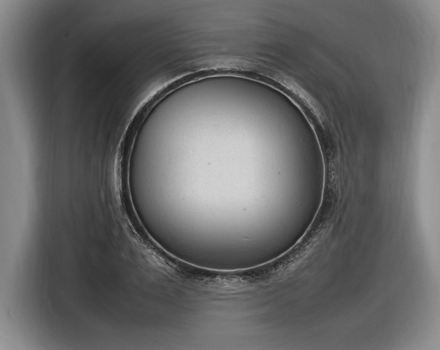 X0000116880983200912221422