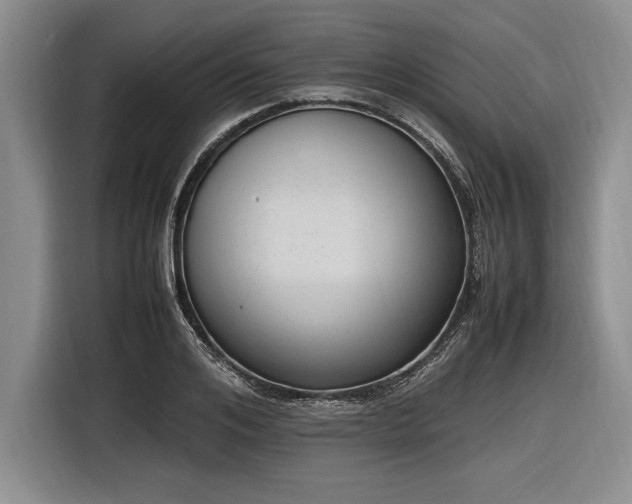 X0000116880984200912221422