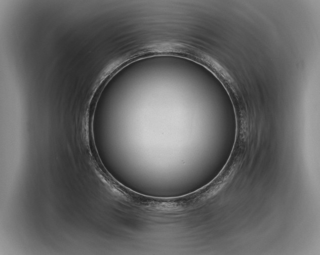 X0000116880986200912221422