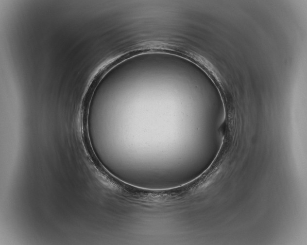 X0000116880987200912221422