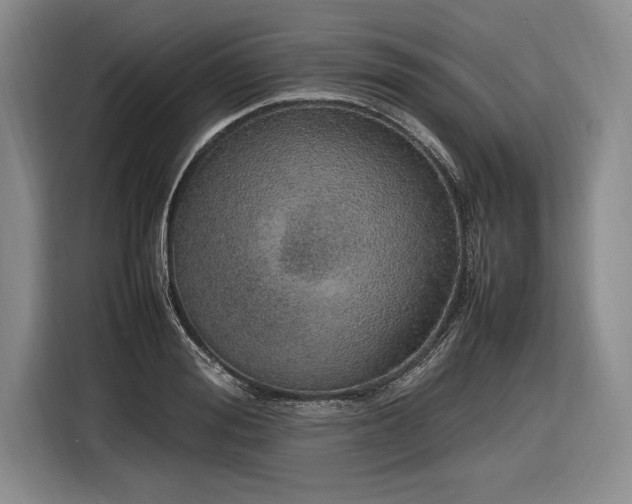 X0000116880988200912221422