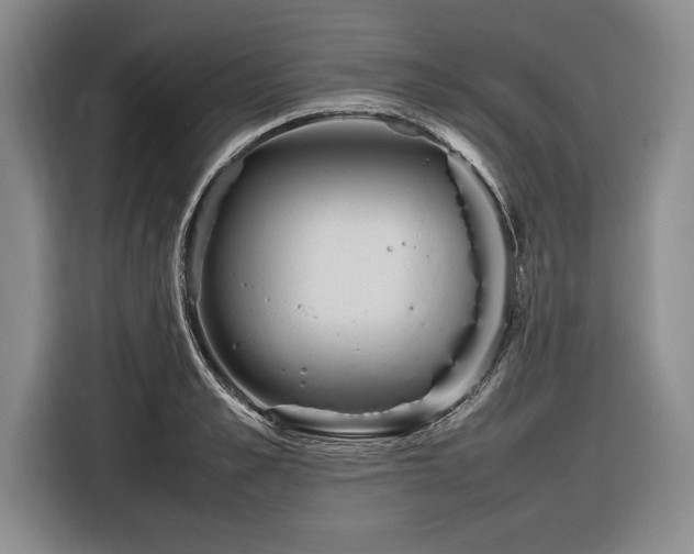 X0000116880989200912221422