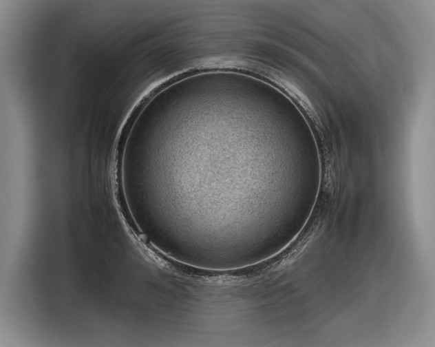 X0000116880992200912221422