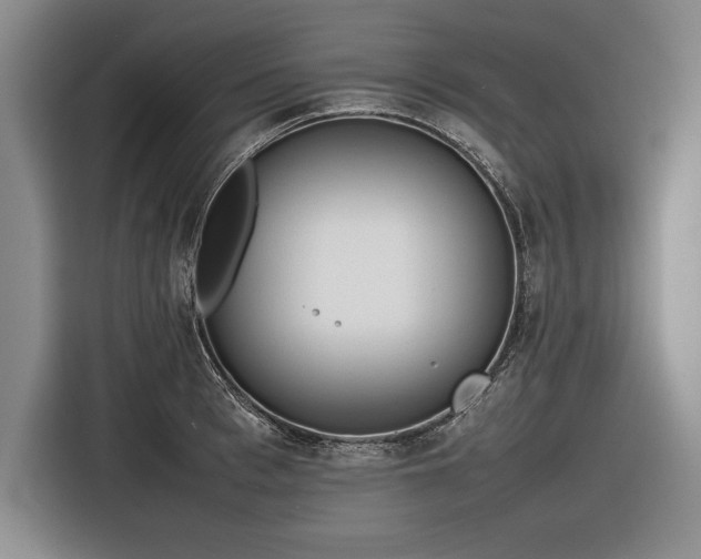 X0000116880993200912221422